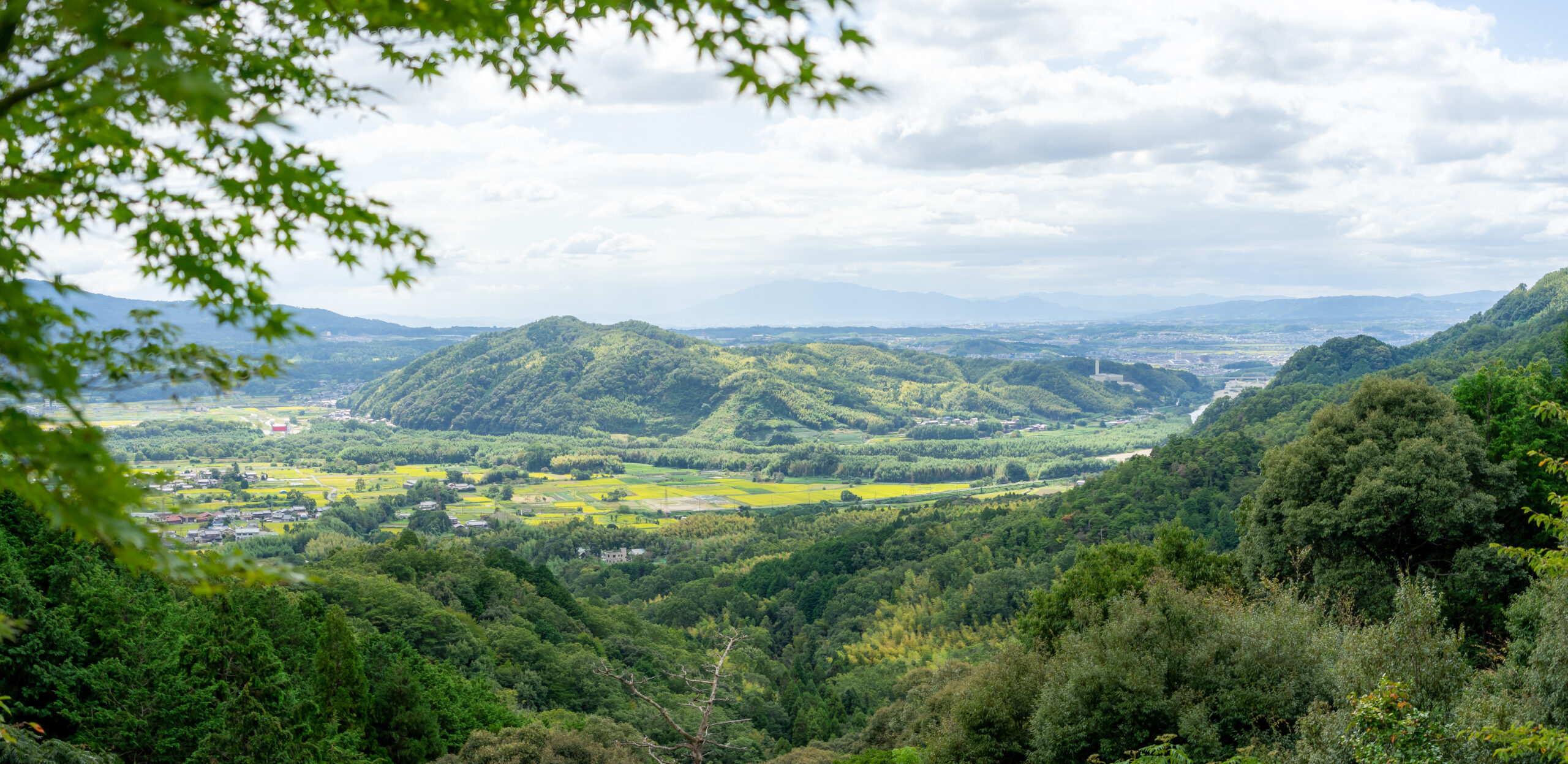 南山城