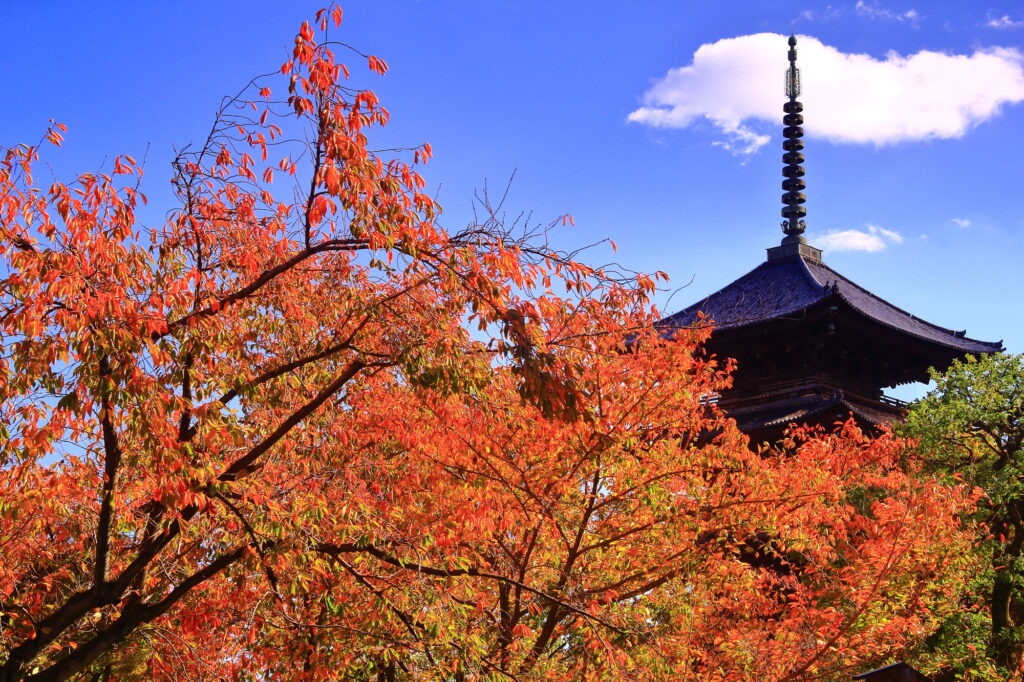 東寺・教王護国寺 - 巡縁_観れば開運！読めば運気アップ！お寺神社の