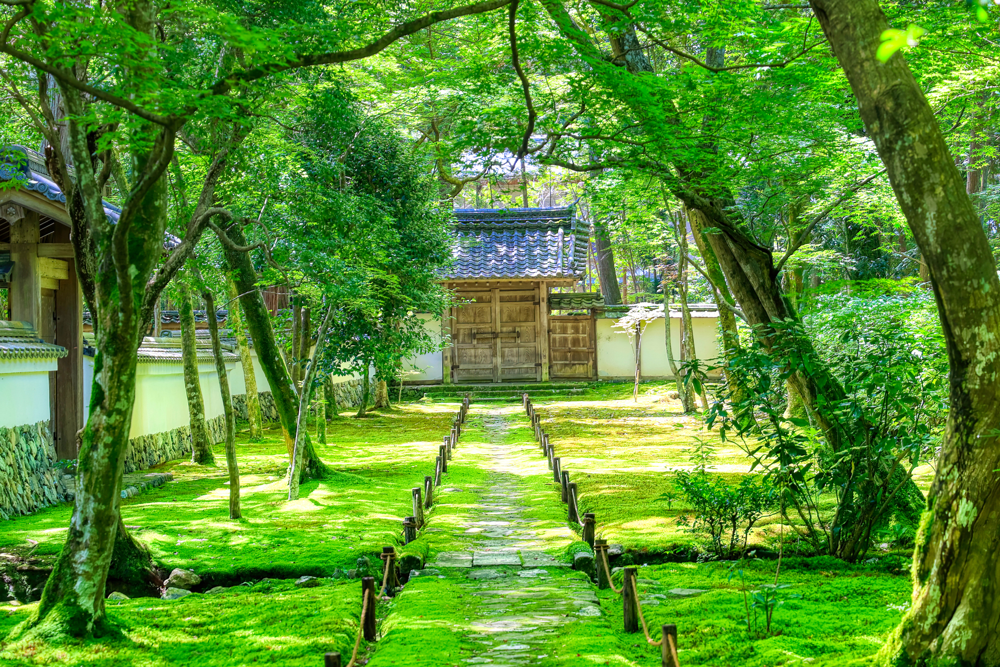 西芳寺（苔寺）の庭園
