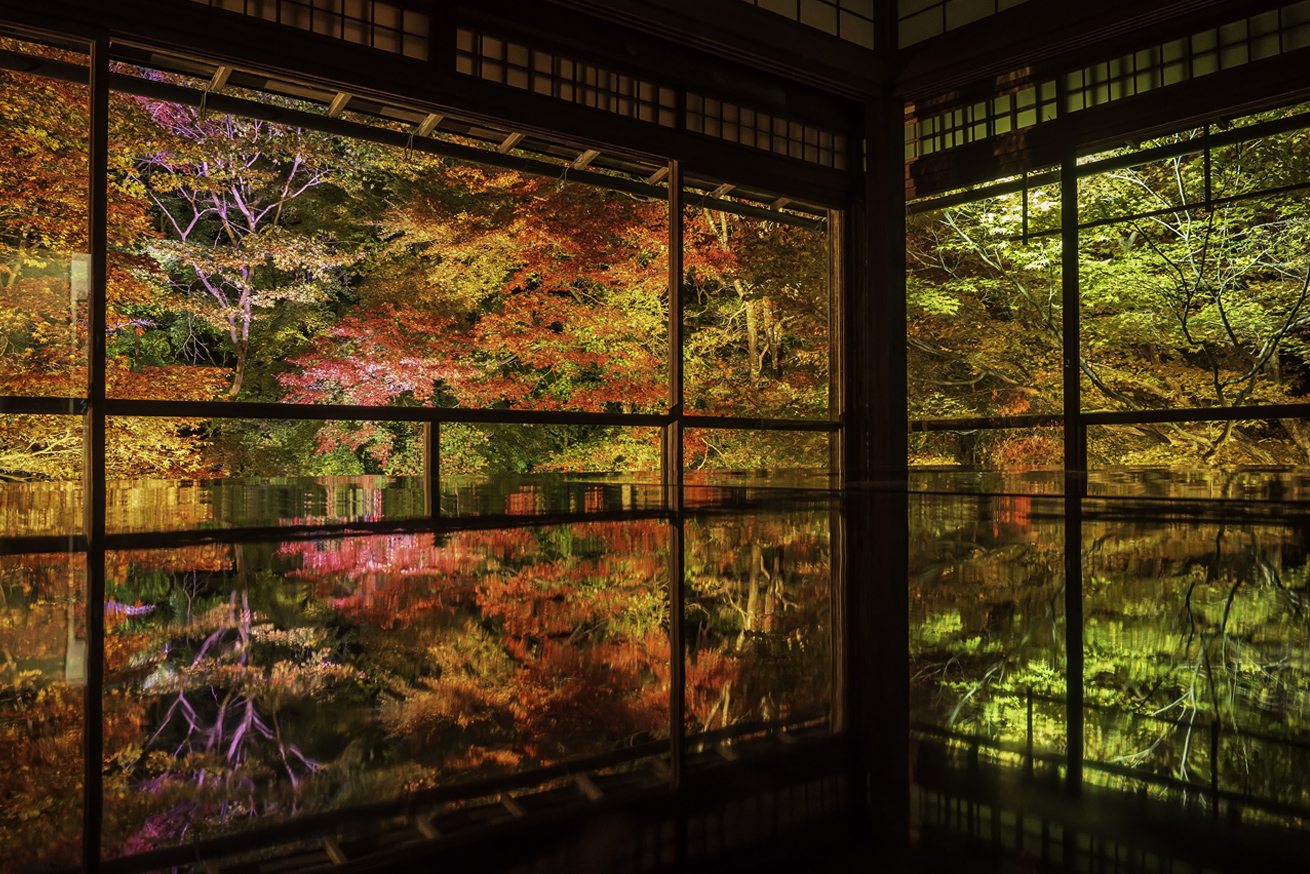 芸術の秋。そうだ京都、行こう