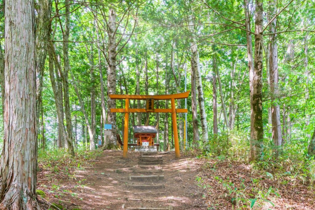 縁結神社(長野県) 