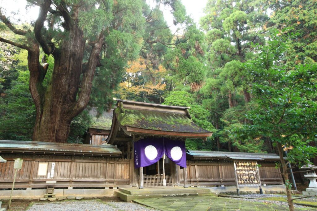 若狭姫神社