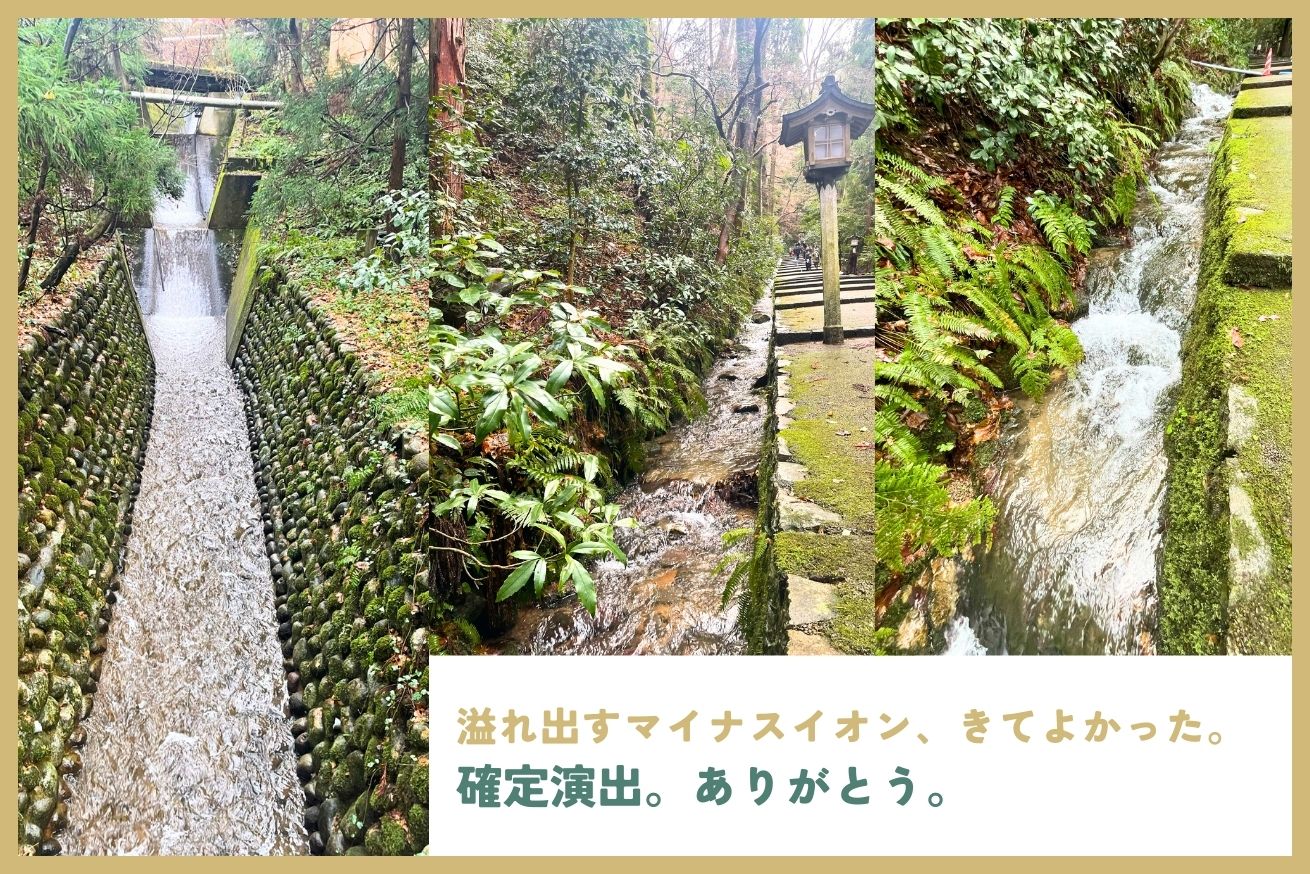 白山比咩神社_表参道２