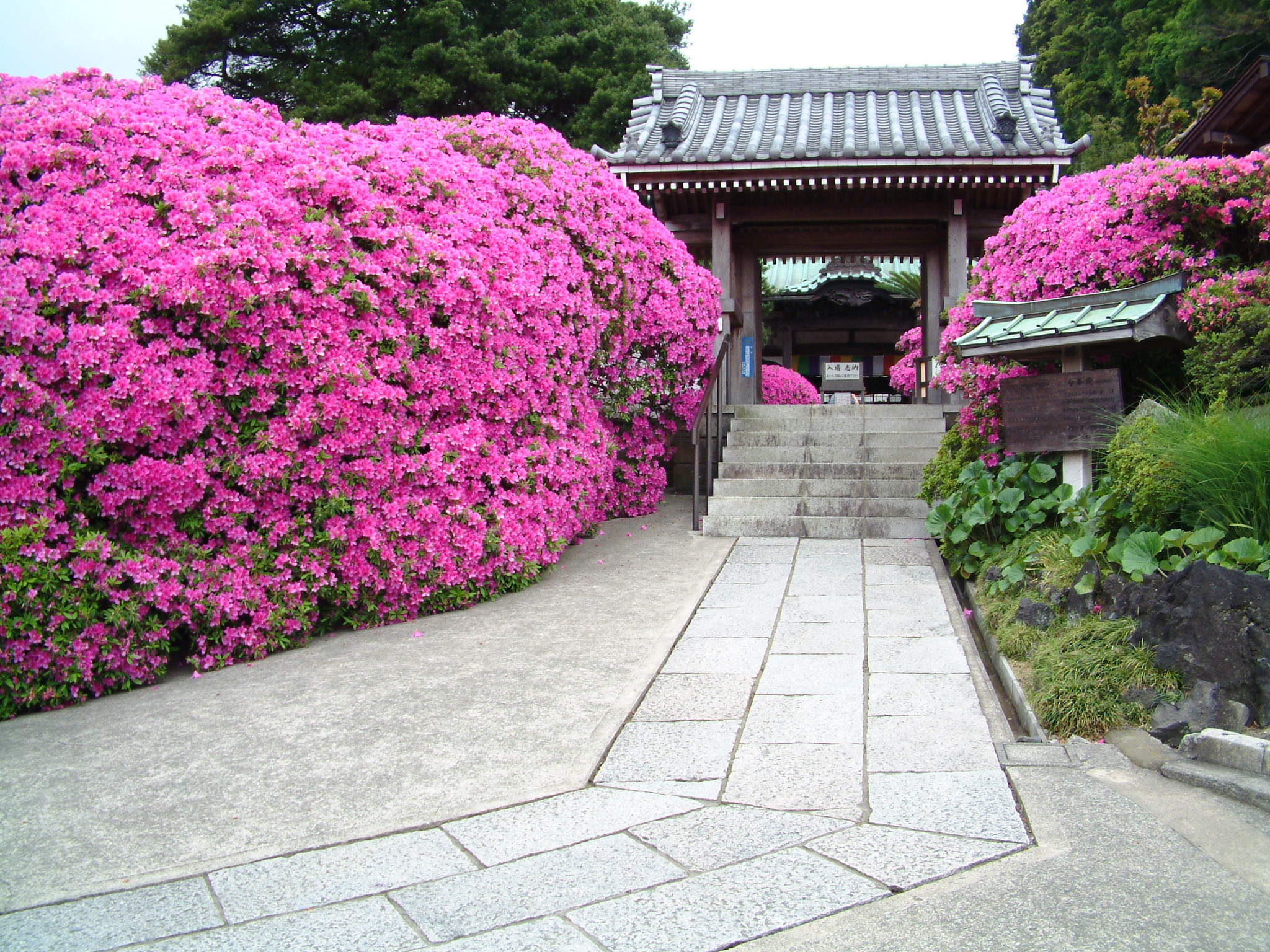 第三番札所　祇園山安養院 (あんよういん) 