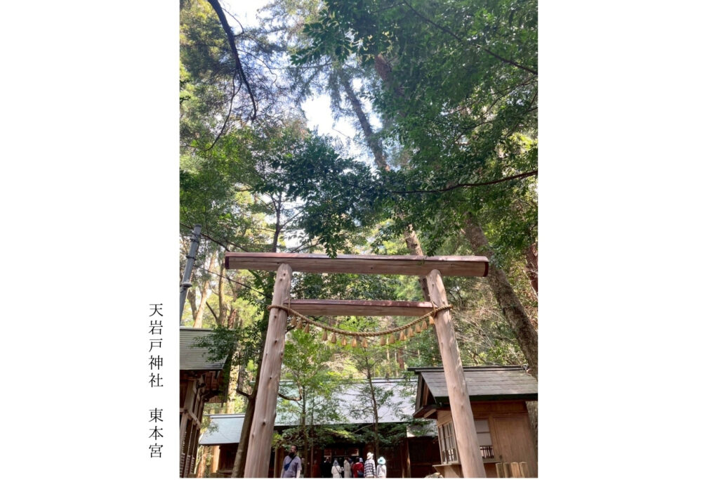 スポット画像