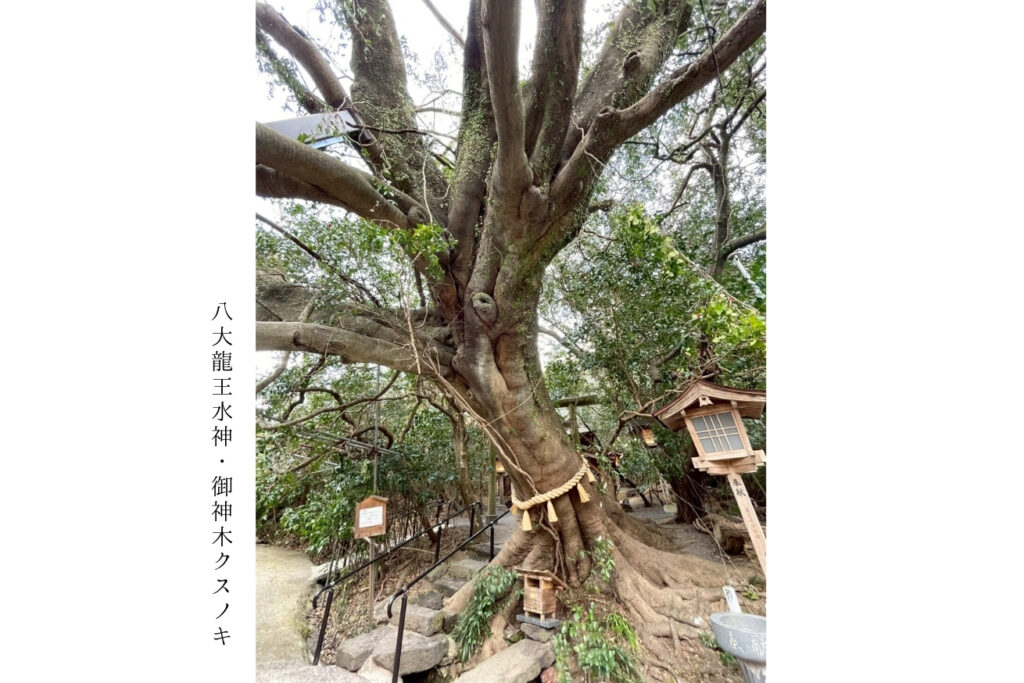 スポット画像