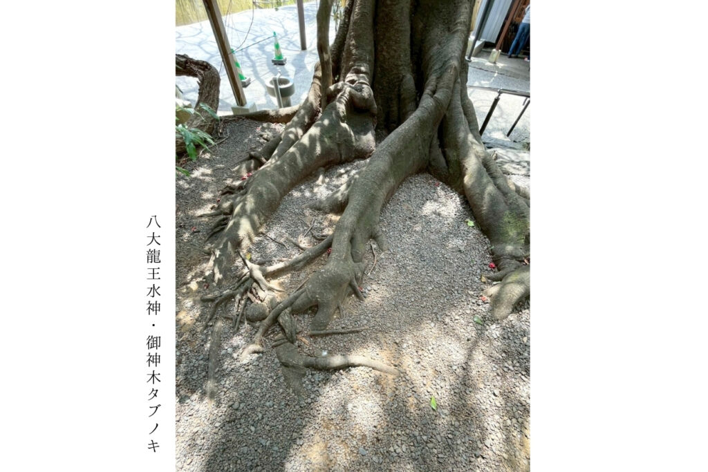 スポット画像