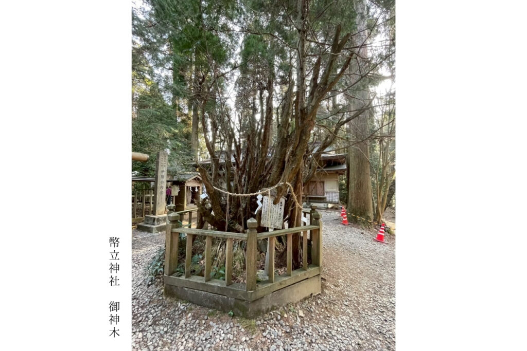 スポット画像