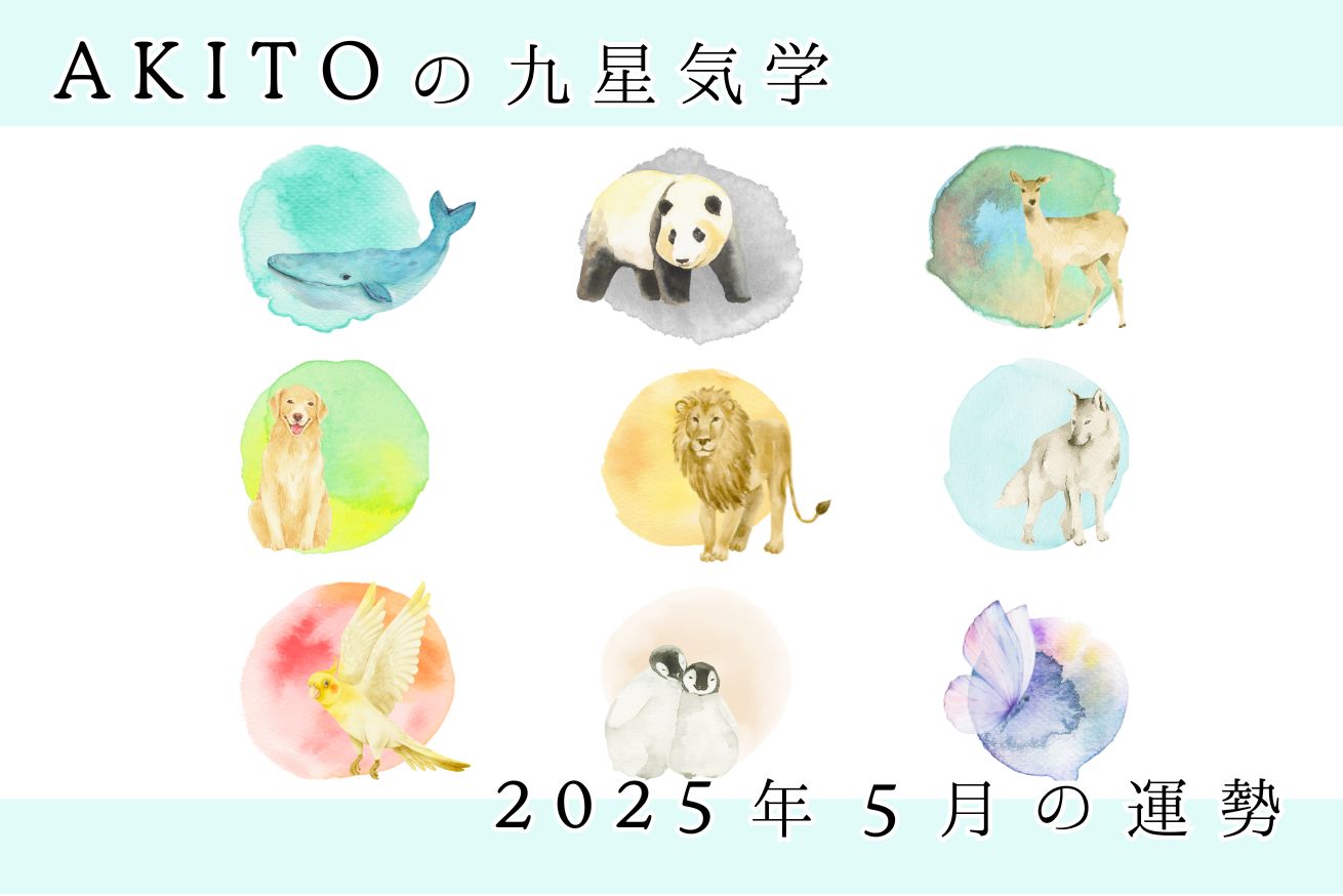 九星気学で占う5月の運勢（5/5~6/4)
