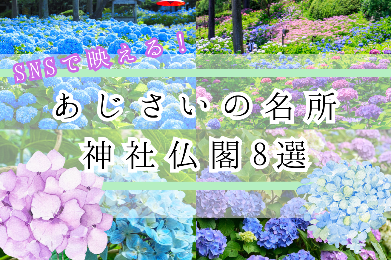 あじさいの名所をおさらい!