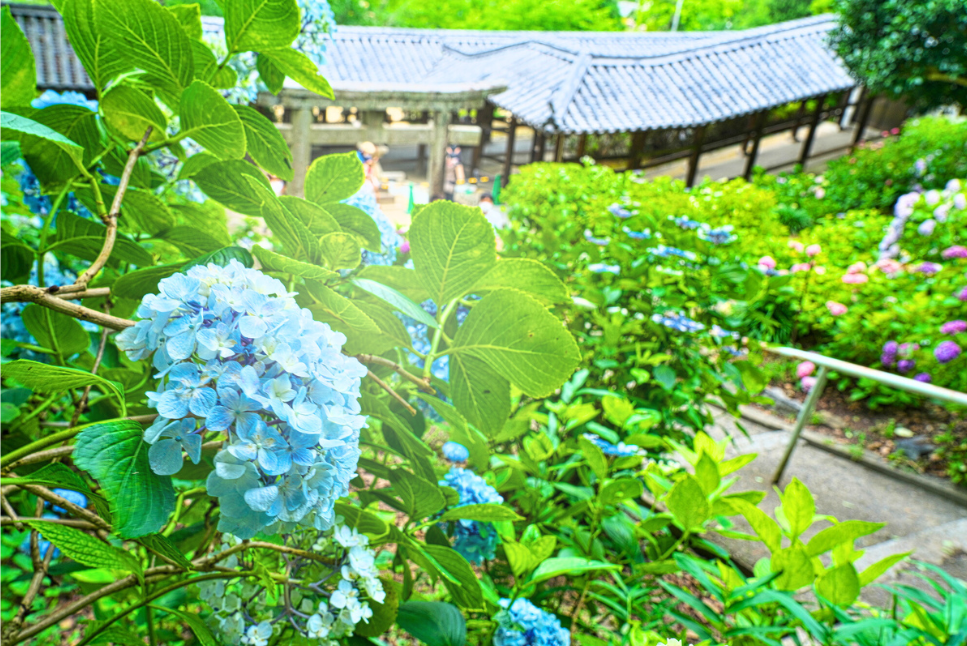 「吉備津神社(岡山県)」