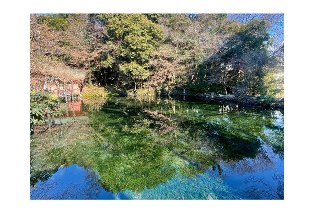 富士山本宮浅間大社　湧玉池