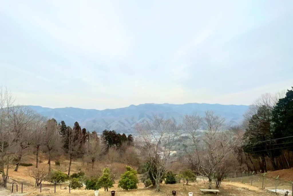 宝登山神社奥宮 風景