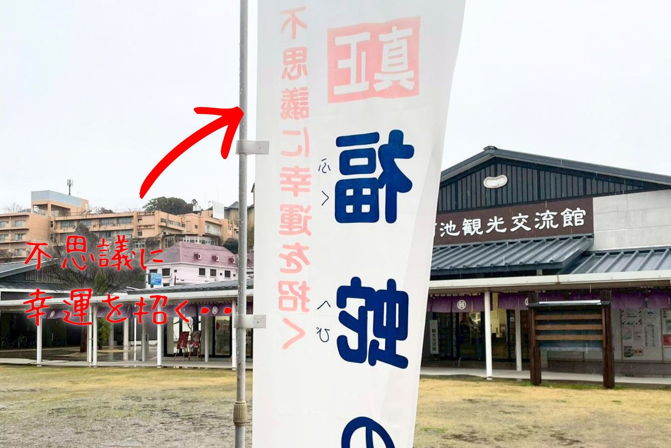 菊池観光交流館 福蛇の袴