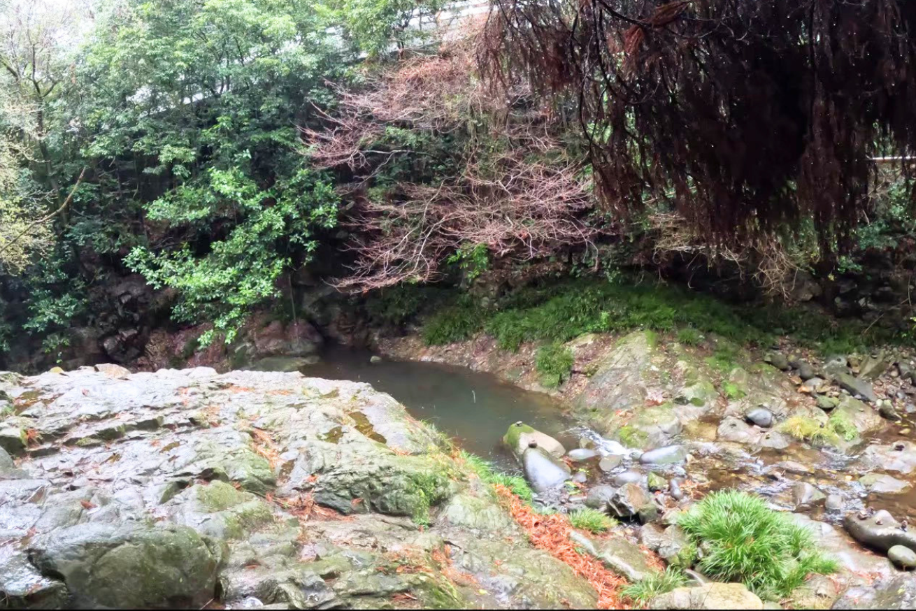 神龍八大龍王神社 熊本　菊池