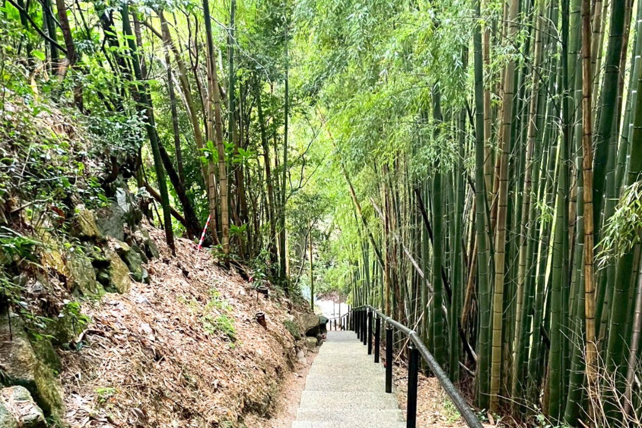 神龍八大龍王神社 熊本　菊池