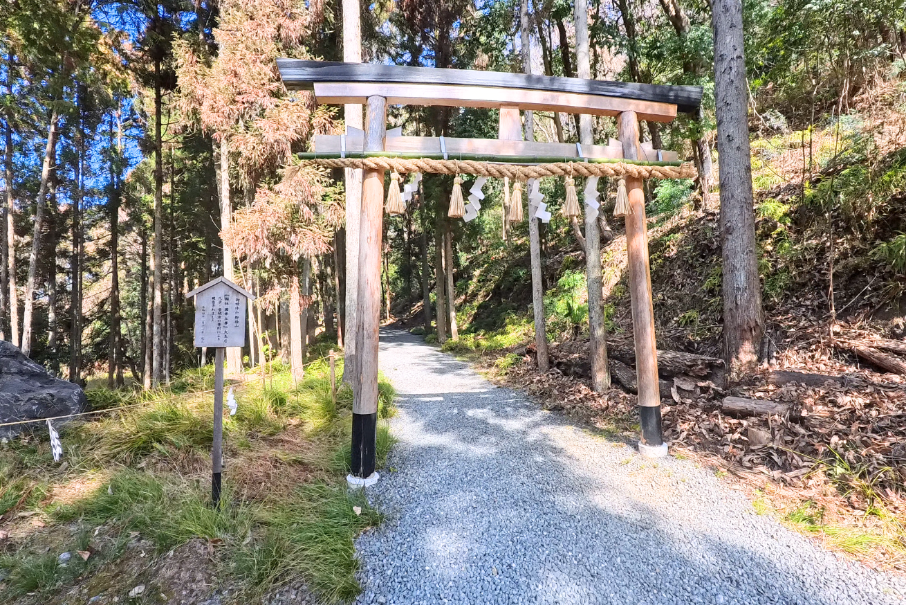 出雲大神宮　鎮守の森　入り口