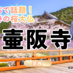 SNSで話題！圧巻の桜大仏　壺阪寺　奈良県