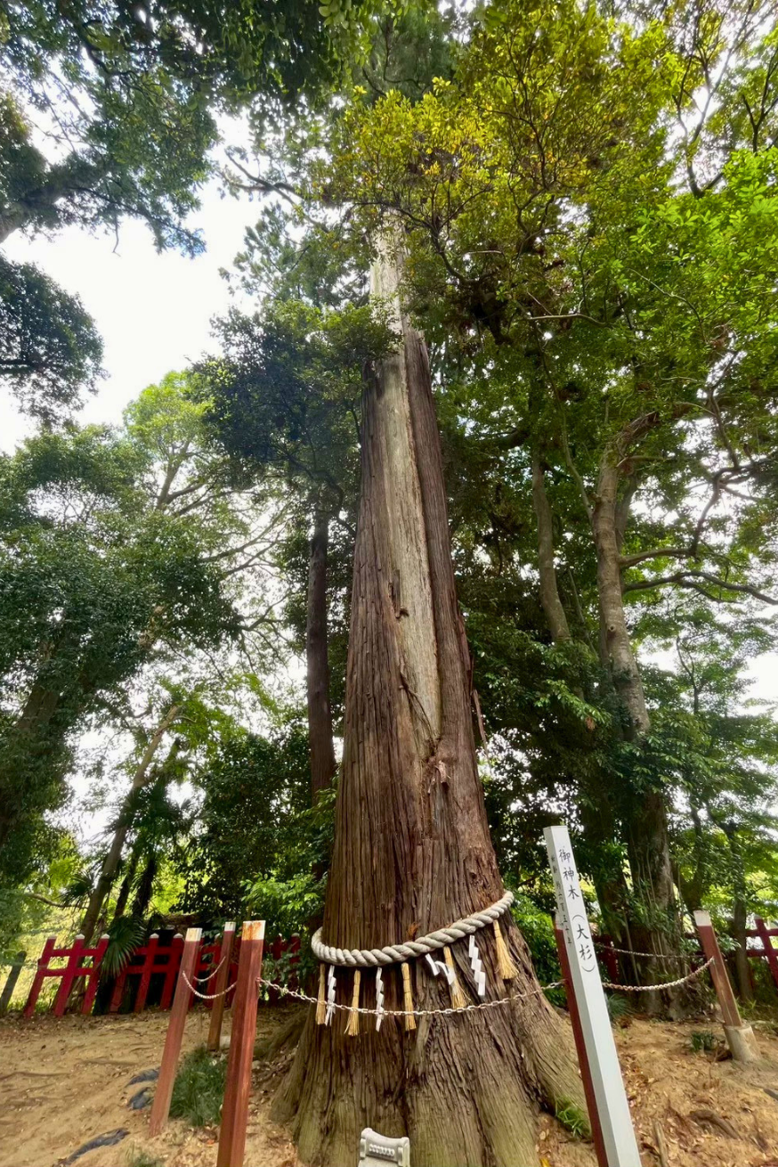 千葉成田の道　麻賀多神社奥宮