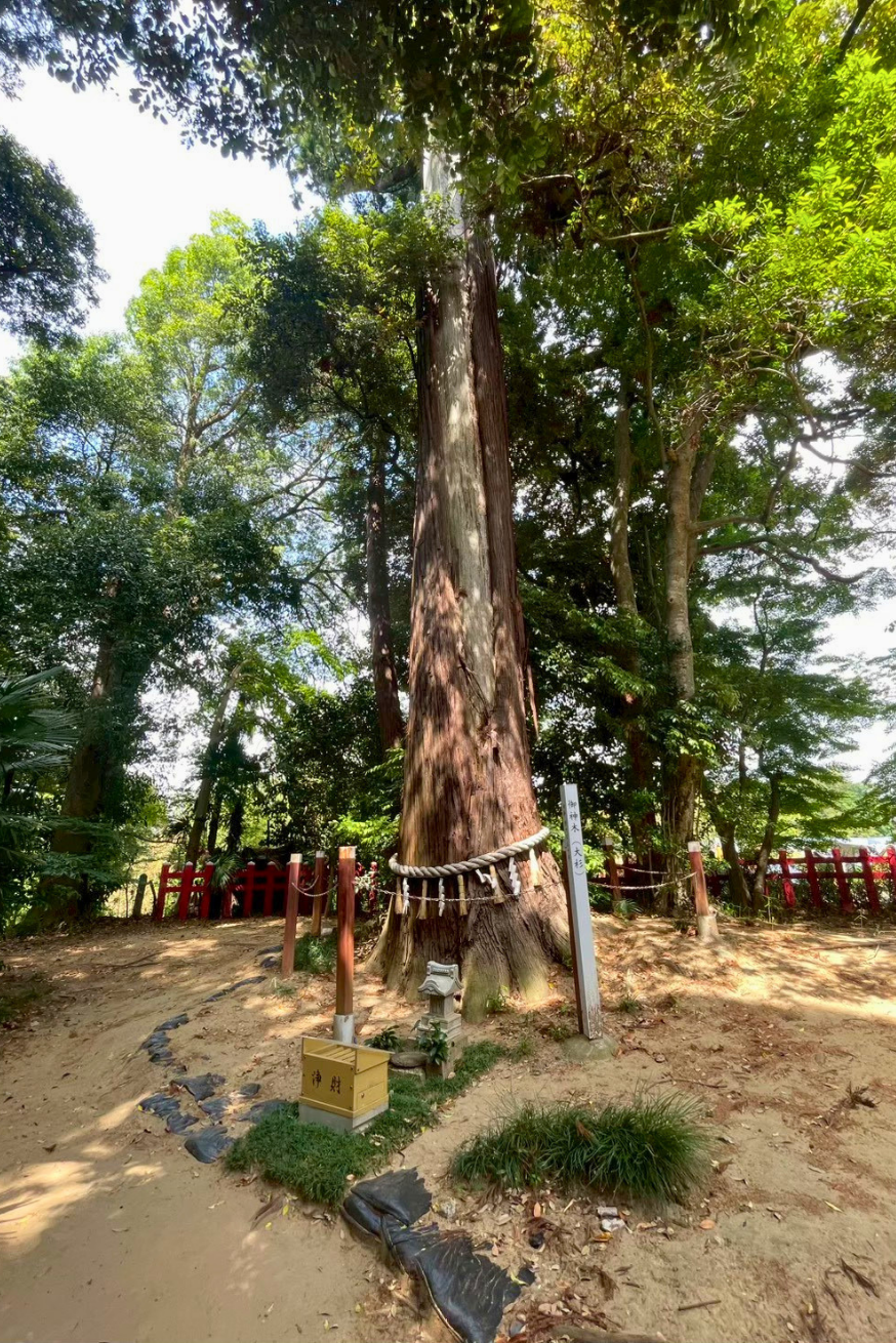 千葉成田の道 麻賀多神社奥宮