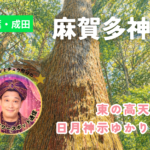 麻賀多神社