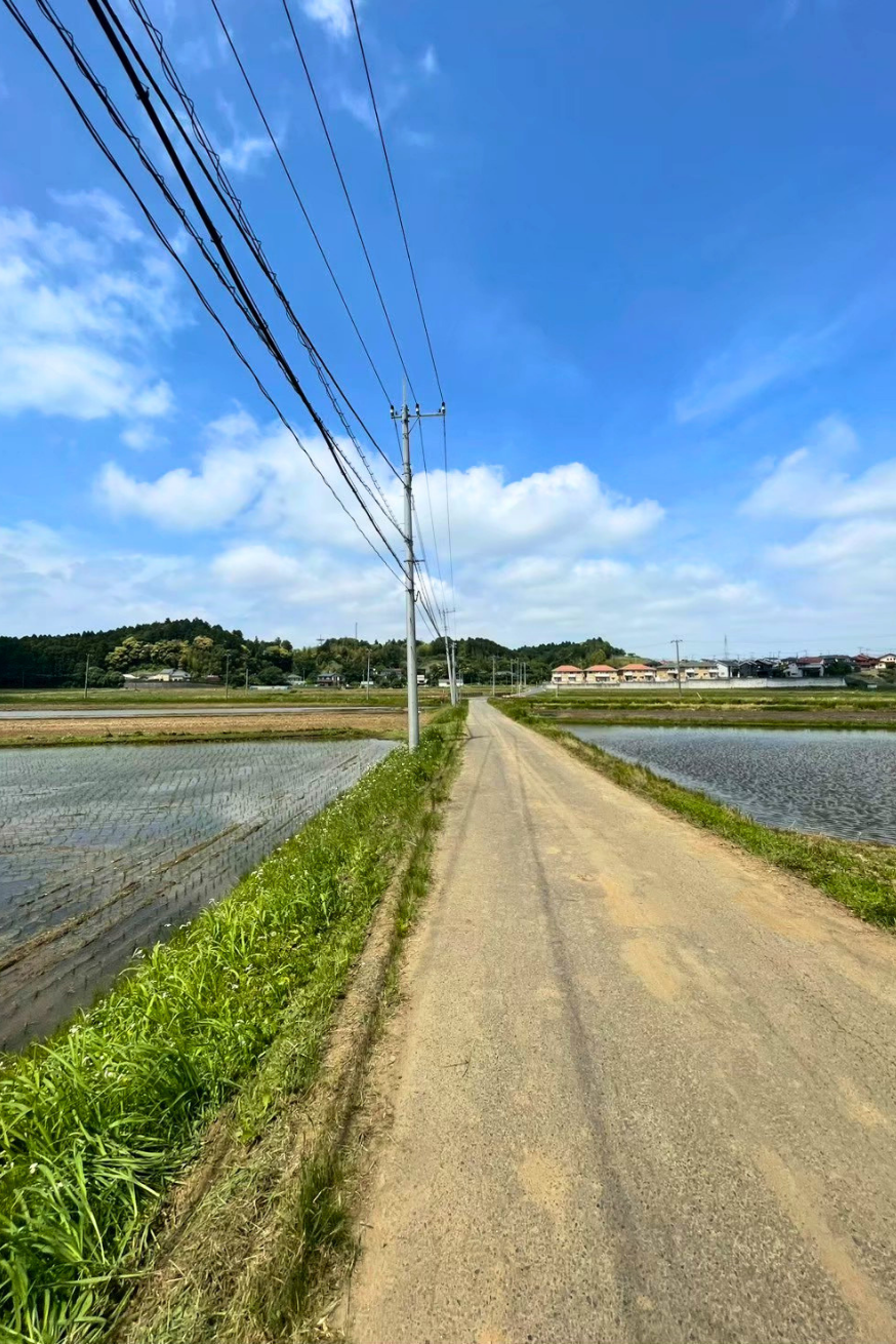 千葉成田の道