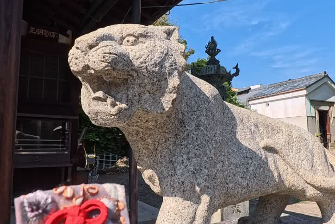 両足院 狛虎