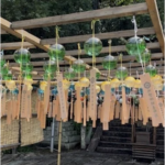 境内に200個の紀州漆器風鈴が響く「伊勢部柿本神社 風鈴まつり」開催～音の参道で楽しむ和歌山の夏～