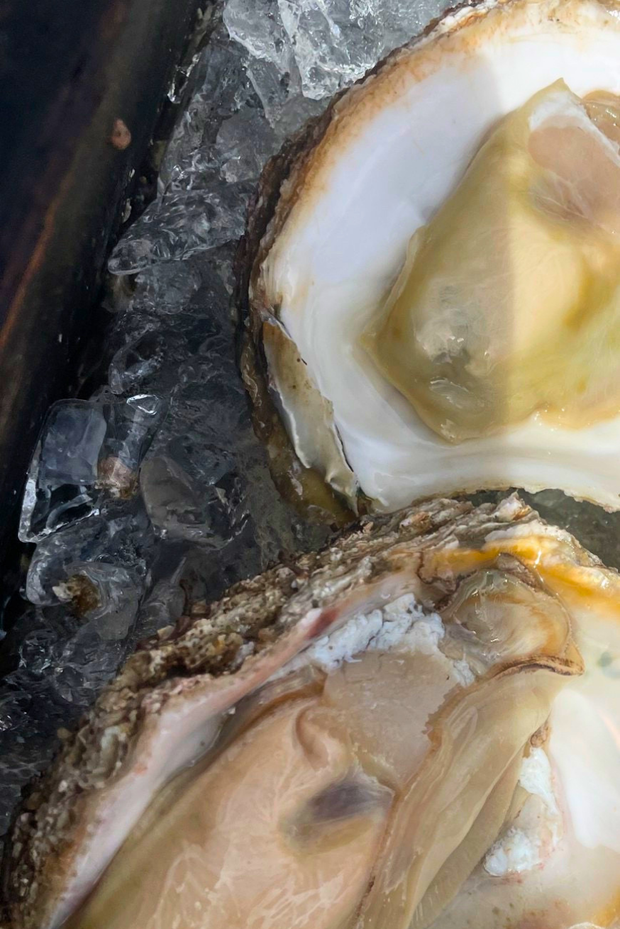 大洗 牡蠣