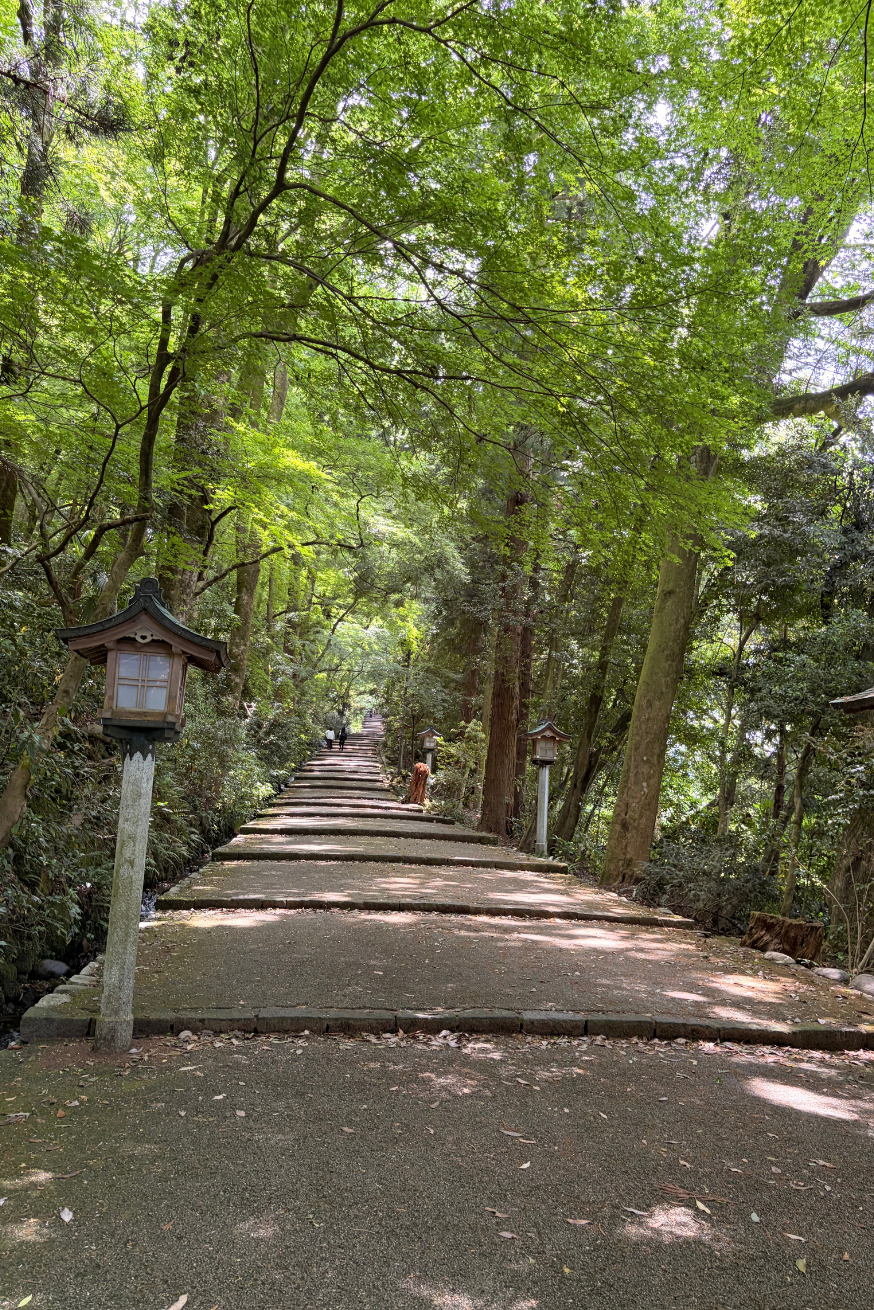白山比咩神社の表参道